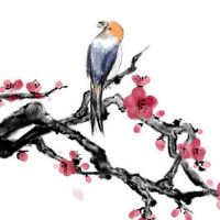 本命年送什么礼物好 女士虎年