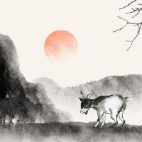 2022年,萧阳的财富分析“天溪”是翻了一番