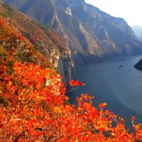 2022年婚姻的好北北面是什么?