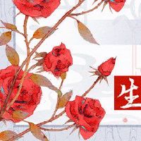 什么隐藏在恒星中?哪些属需要在2022年隐藏