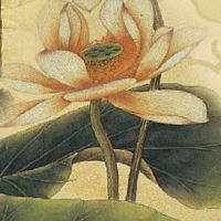 洗车店名字大全 大气洋气的店铺起名推荐