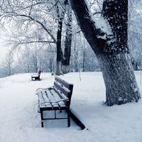 道路白痴,我找不到北的星座。