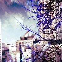 酒店名称为重命名的免费名称