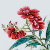 二手车能自己编号牌吗 网上选大吉的车牌号码