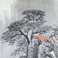 属虎本命年佩戴什么饰品最好 戴虎眼石免受诸多凶星