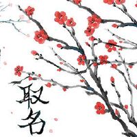 公司名称的名称是什么?