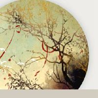 为什么龙节吃芥末米营养