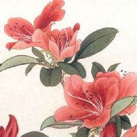 南方春节吃什么传统食物 南方过年风俗有哪些