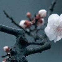 日用品店名字有创意的 有内涵店铺起名大全