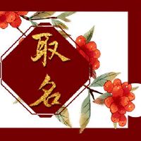 孩子诞生了,最好的时间