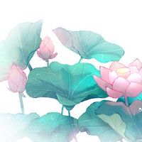 老虎正在隐藏春天2022特定的时间来隐藏弹簧?