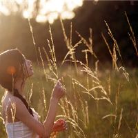 爱?友谊? 12个Contrelors将如何选择?