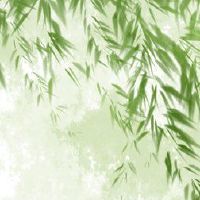 我突然倒在除夕的第三天来预测整个网络的最四个法医的解释。