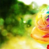 你的朋友是超级待掩饰吗?