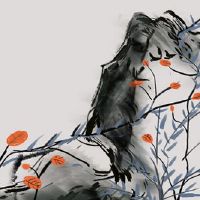 本命年福袋什么时候处理 福袋可以送人吗