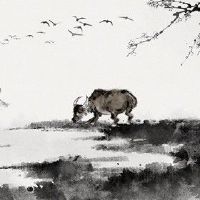 属牛买房子什么方位好 东北位置提升运势