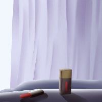 妇女节是国家法定假日的国家法律假期。