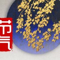 雨水和太阳能术语引入了大量的降雨