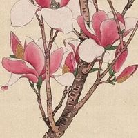 农村超市名字大全 店铺起名朗朗上口易记忆