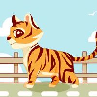 黄道带解决方案2022是虎虎