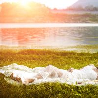 12个星座爱是什么?