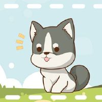 狗的人在老虎年度,感情的感觉如何