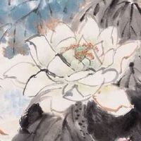 属兔75年大溪水后半生运势 幸运方位在西方