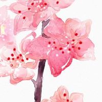 2022年正月十五开业合适吗 元宵节开业开店吉时盘点