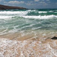 独家癌症情绪引用