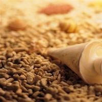 你是仔细的星座吗?