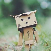 哪一个十二生肖并不像自我挫败