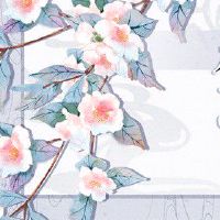 2022年财运最好的生肖排名 生肖蛇正财特别丰盛