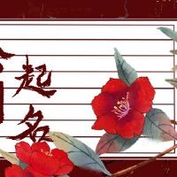 公司名称建议与公司的开始名称