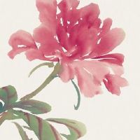 本命年虎年不能佩戴虎吗 佩戴生肖狗让属虎人财旺运旺