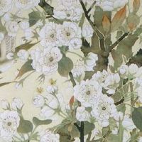 五行穿衣每日指南:2022年5月2日穿什么颜色旺运势