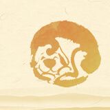 狗宝宝忌什么属相父母