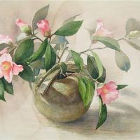 孤独的恐惧症中最严重的四大黄道带