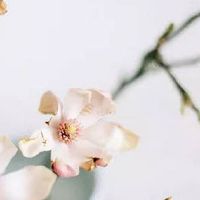 新婚之人正月十五躲灯好处你知道吗 传统躲灯不争吵