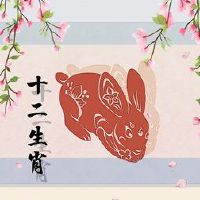 2022年,萧罗布适合购买汽车吉威的车牌号码