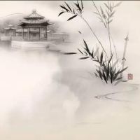 紫微斗数禄存入财帛宫什么意思?