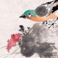 2022年雨水多吗,种地行吗 雨水节气的风俗拉保保