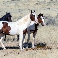 2014年的个性是什么?