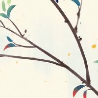 属鼠38岁后有十年大运 未来十年生肖鼠福泽深厚