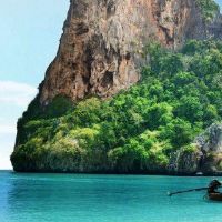 我没有真正的爱真爱。