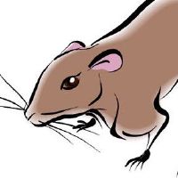 50岁是2022岁的命运