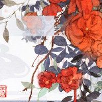 2022 520婚姻,大黄道十二生肖,大六人人,我知道。