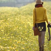 12个星座女性追踪号码列表