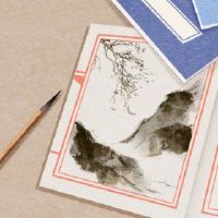 该公司名称的名称是什么?