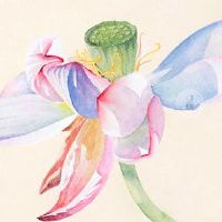 2022年5月15日宜提车上牌吗 农历四月十四是不是吉利日子