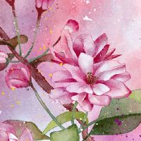 2022年5月21日适合提车吗 农历四月二十是不是买车日子